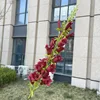 Campanula Rossa