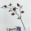 5-headed pomegranate, brown