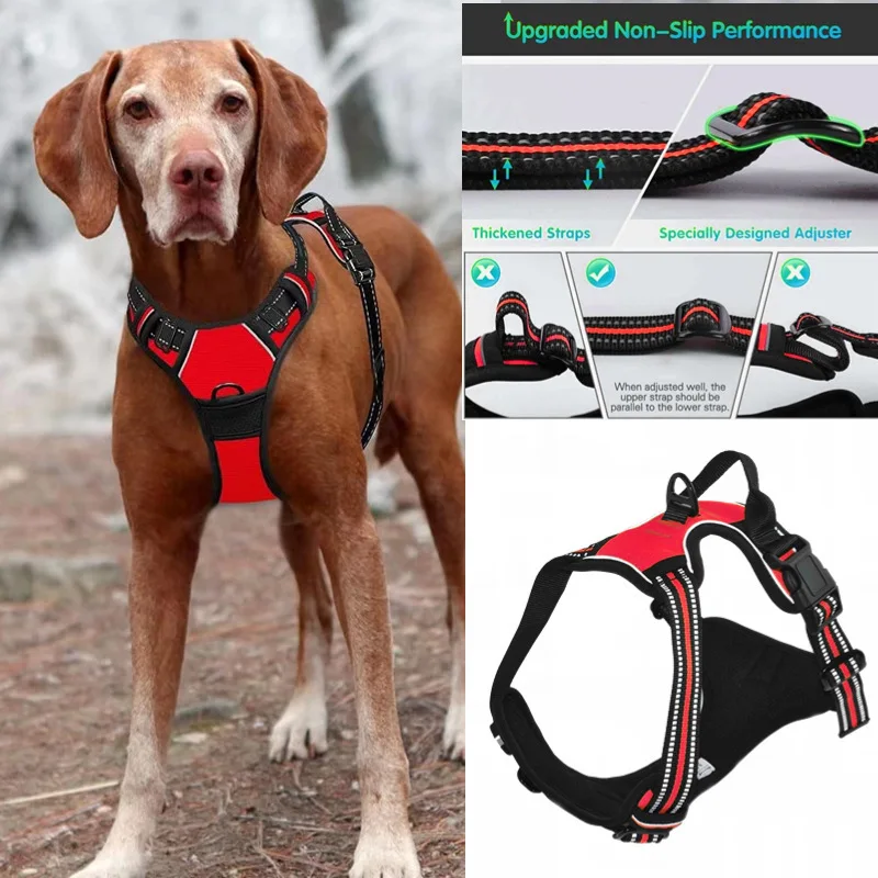 Dog Harness Set Vest Custom Personalized Adjustable Pet Dog Training Harness No Pull Dog Harness and Leash