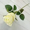 Light white