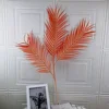 Arancione