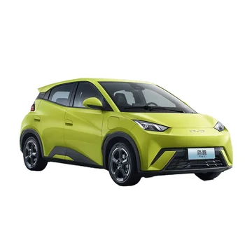 Supply 305 Km Endurance Single Motor 30.08kwh New Energy Vehicles Low Price Electric Car
