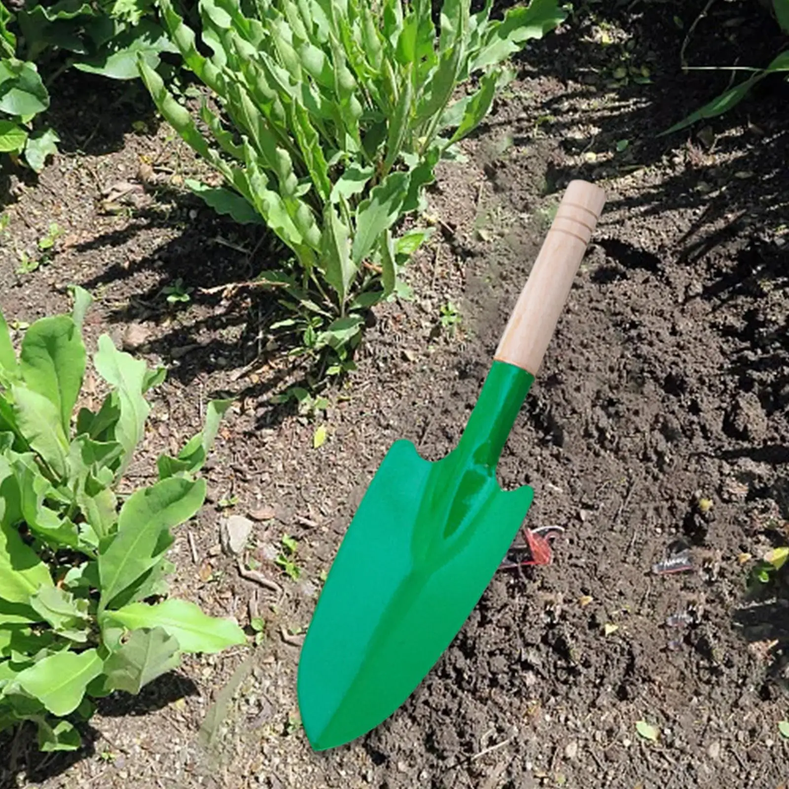 He946b0fc3c7147fd8287742256cd46dar