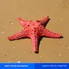 Style05_36cm red starfish