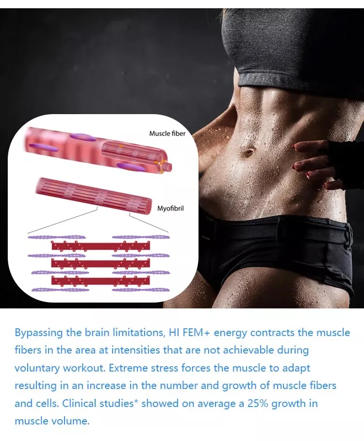 2024 2 I 1 Cryo + EMS og Body Slimming Slimming Muscle Building 360 Cryo Cool Body Shaping Cryoterapy Machine