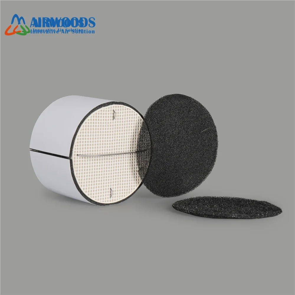 Remote Control Single Room Wall Mounted Heat Recovery Ventilation Home Air Recuperator  System Units