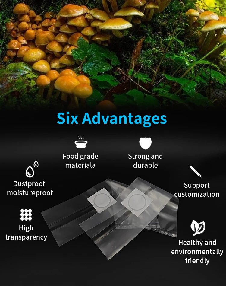 Square Mushroom Growing Bag Filler Packaging Mushroom Tote Biodegradable Plastic Bag Buy