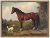 Cavallo e cane incorniciati