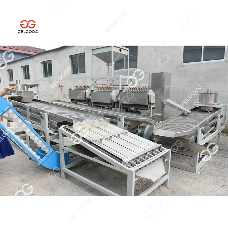 Full Automated Kaju Processing Cashew Kernel Peeling Machine for Cashew Nuts