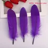 สีม่วง