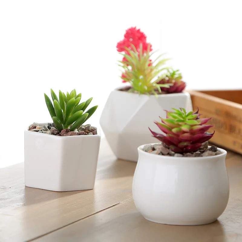 automatic plant watering system indoor Solar Drip Irrigation System for Indoor Potted Plants