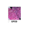 OP09