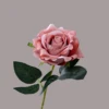 Dark Pink