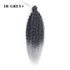 1B-Grigio