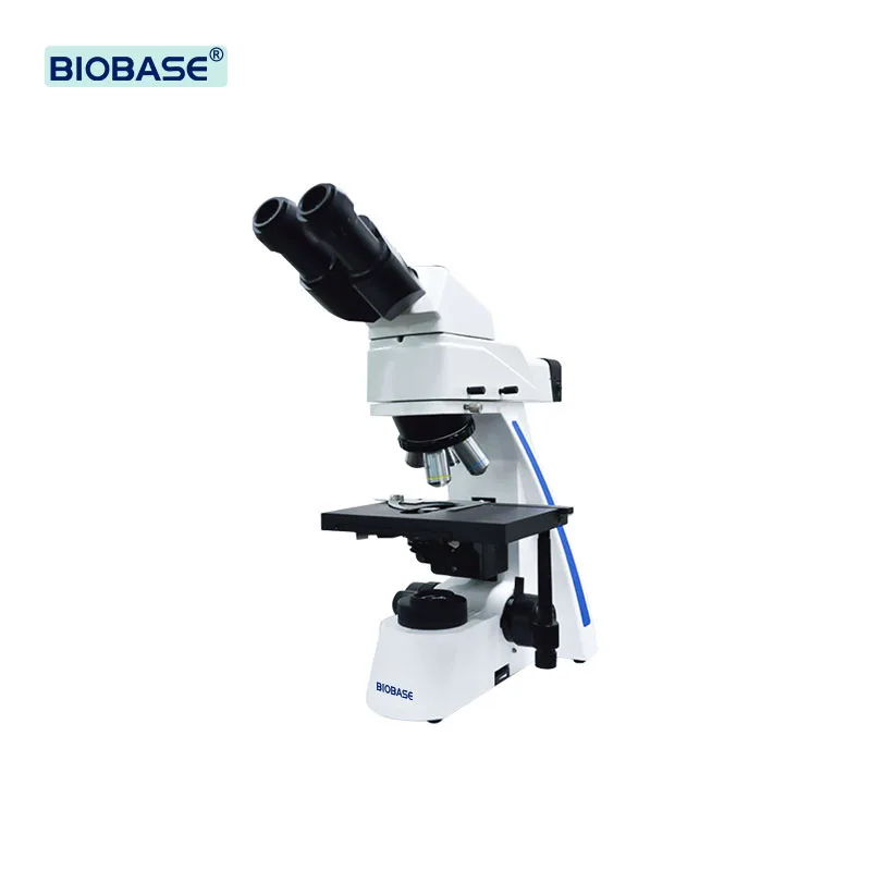 Laboratory Fluorescence Biological Microscope Bfm-31 Students Use ...