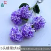 Hortensia Candy HN de 5 cabezas, morado oscuro, sin hojas