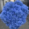 PU ciel
