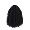 Afro riccio-1B#