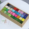 Colori multipli