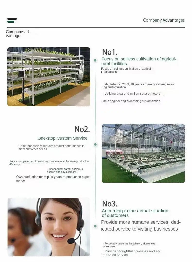 product a one rr jy 01 hydroponic strawberry and tomato growing system for greenhouse low cost high productivity vertic tomato-2