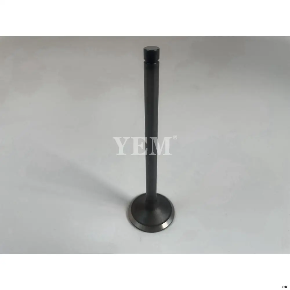 Exhaust Valve Fit for Hino F20C Spare Parts Construction Machinery Parts