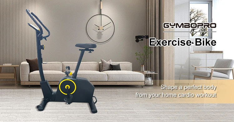 Gym 4kg with 3pcs Crank Bike Adjustable 8 Levels of Magnetic Resistance by Manual Plastic Pedal Magnetic Exercise Bike