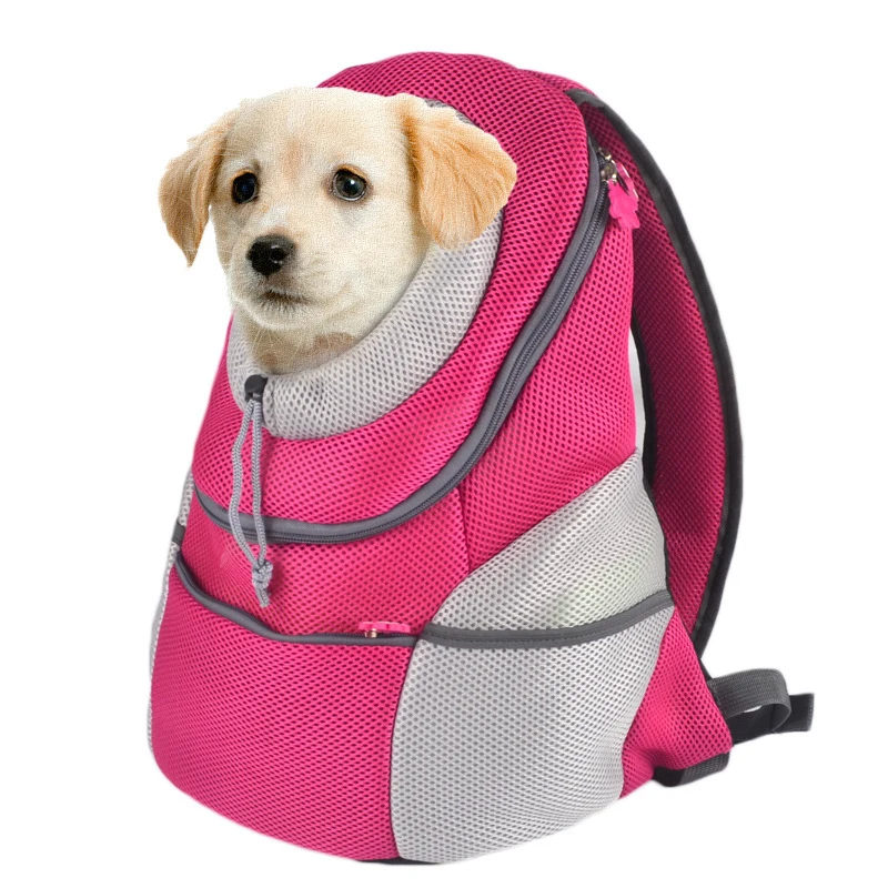 Собака в рюкзаке