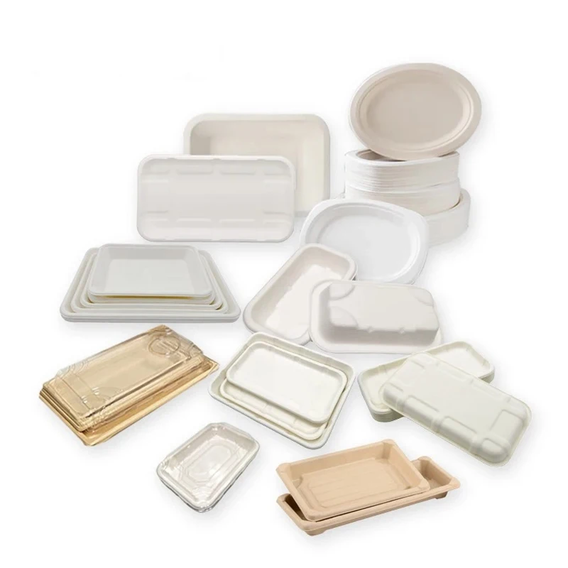 Sturdy Biodegradable Lunch Disposable Serving Eco Friendly Sugarcane ...