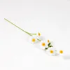 #11 White daisy