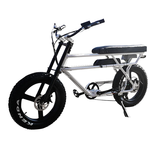 electric bike for large person