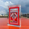 Prismatic Case With Guard