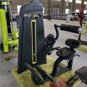 2025年バックエクステンションマシンハイパーエクステンション商用ジム