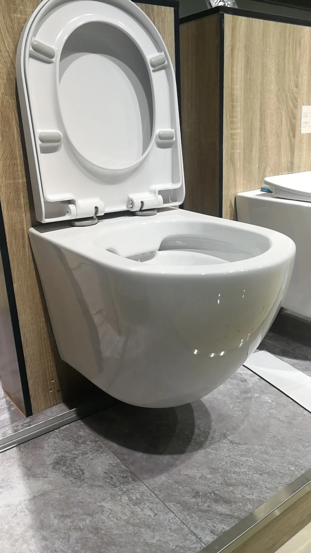 El cuarto de baño Wc Wc el ahorro de agua de enjuague de sifón Inodoro El cuarto de baño Wc Wc el ahorro de agua de enjuague de sifón Inodoro