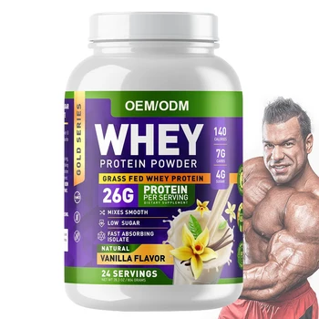 High Quality Dietary Supplement Private Label Immunity Supplement Promote Muscle Growth Pure Milk Chocolate Whey Protein Powder