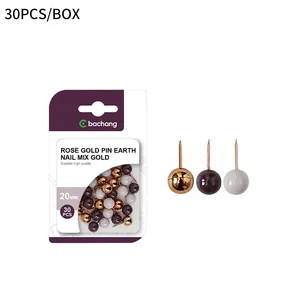 Bachang BC - 9018 30 Pcs 20mm Rose Gold Pin Earth Nails, High - Quality and Durable for Office & Home Use