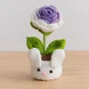 Purple rose