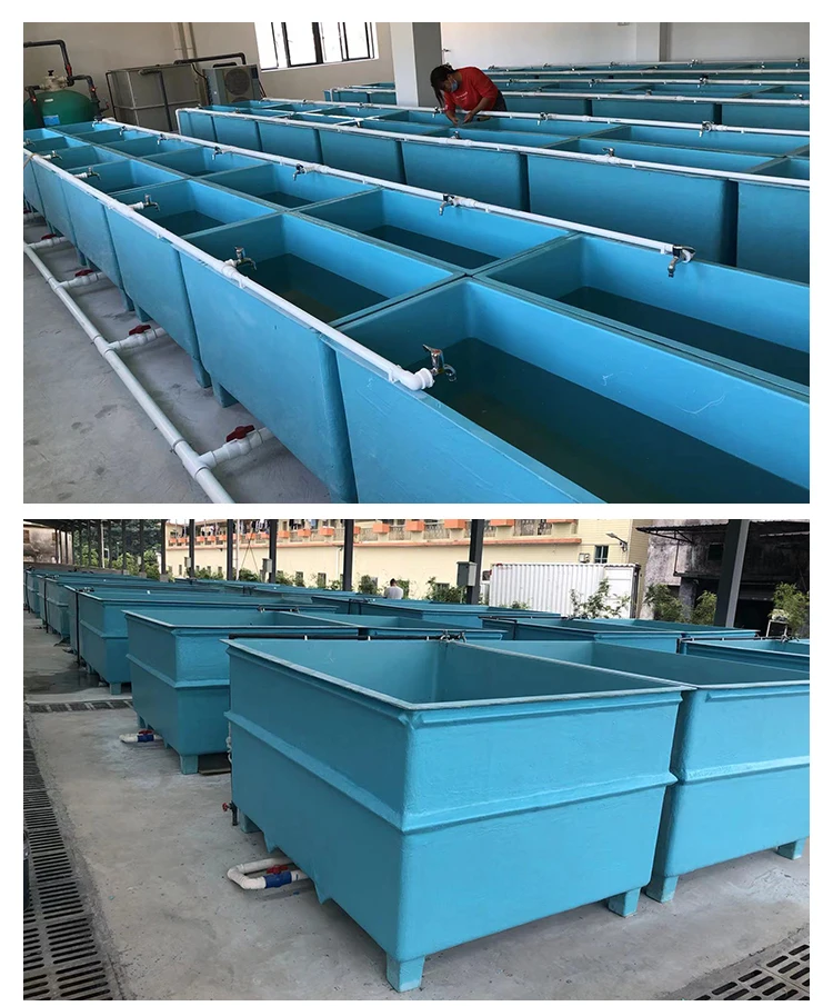 Factory Custom Commercial Fish Farming Tank Square Big Aquarium Fish