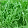 Green D