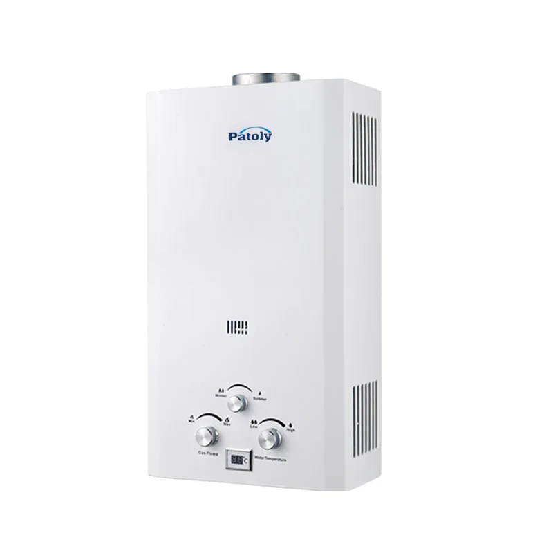 6l To 12l 14l 16l 20l 24l Natural Gas Boiler Shower Instant Gaz Propane