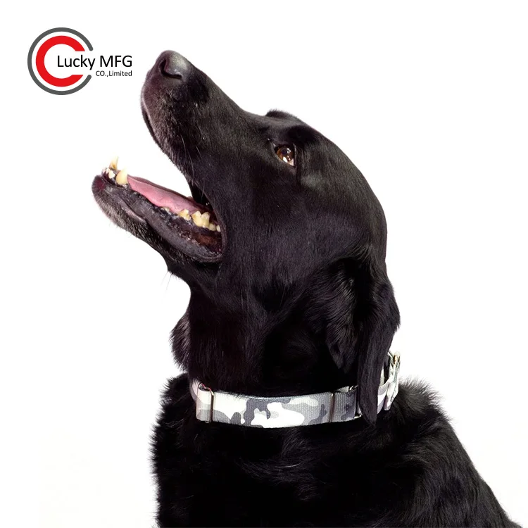 Is Polyester Good For Dogs