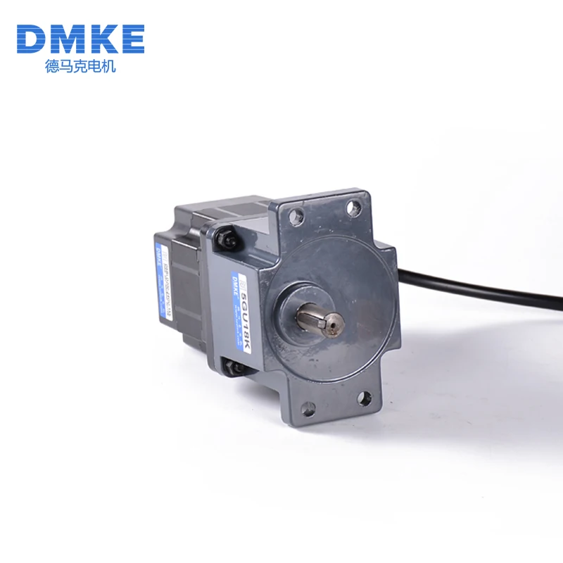 Custom Small Gear Box for Motor 24Volt 48Volt 500W 750W 250RPM 200RPM 100RPM Single Side Bldc With Warm Gear