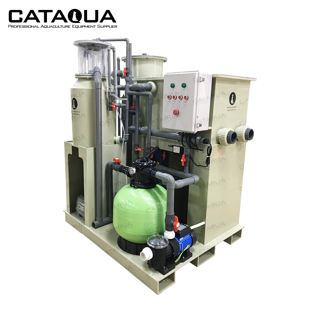 CATAQUA RAS Recirculating Aquaculture System Indoor Small Ras System Equipment for Fish Farming