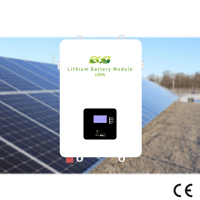 ESG 51.2V 200 300AH with BMS PO4 Lithium Battery module with High performance iron battery