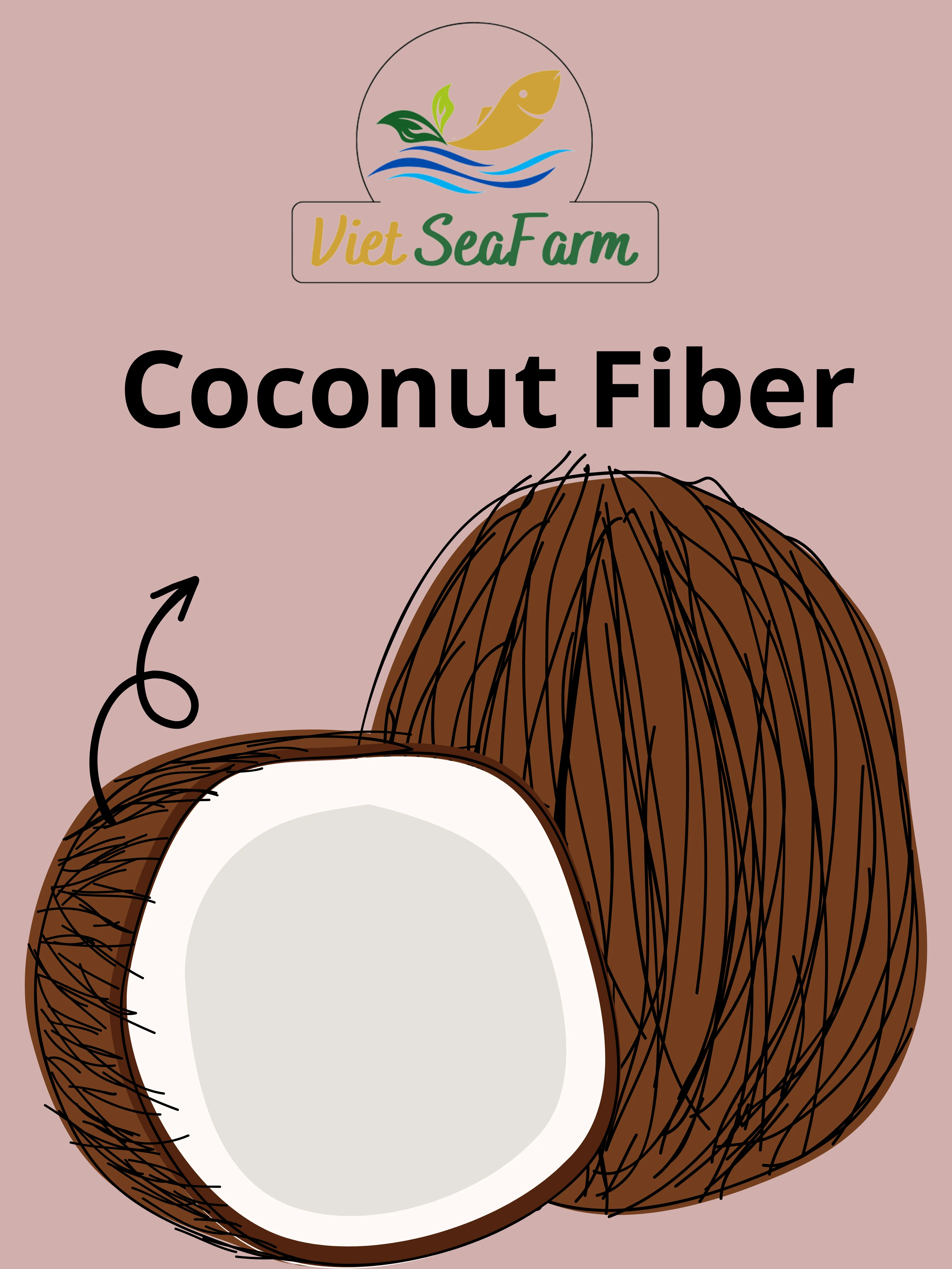 [new Product!!!] Coconut Fiber High Export Standard With The