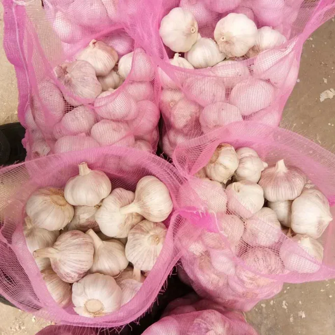 Whole Simulation Garlic Selling Peeled Fresh Garlic Bulbs Size 4.5cm 45 Cm Plant Wholesale