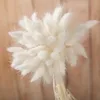 Couleur blanche