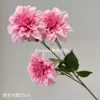 Flor enana de tres cabezas