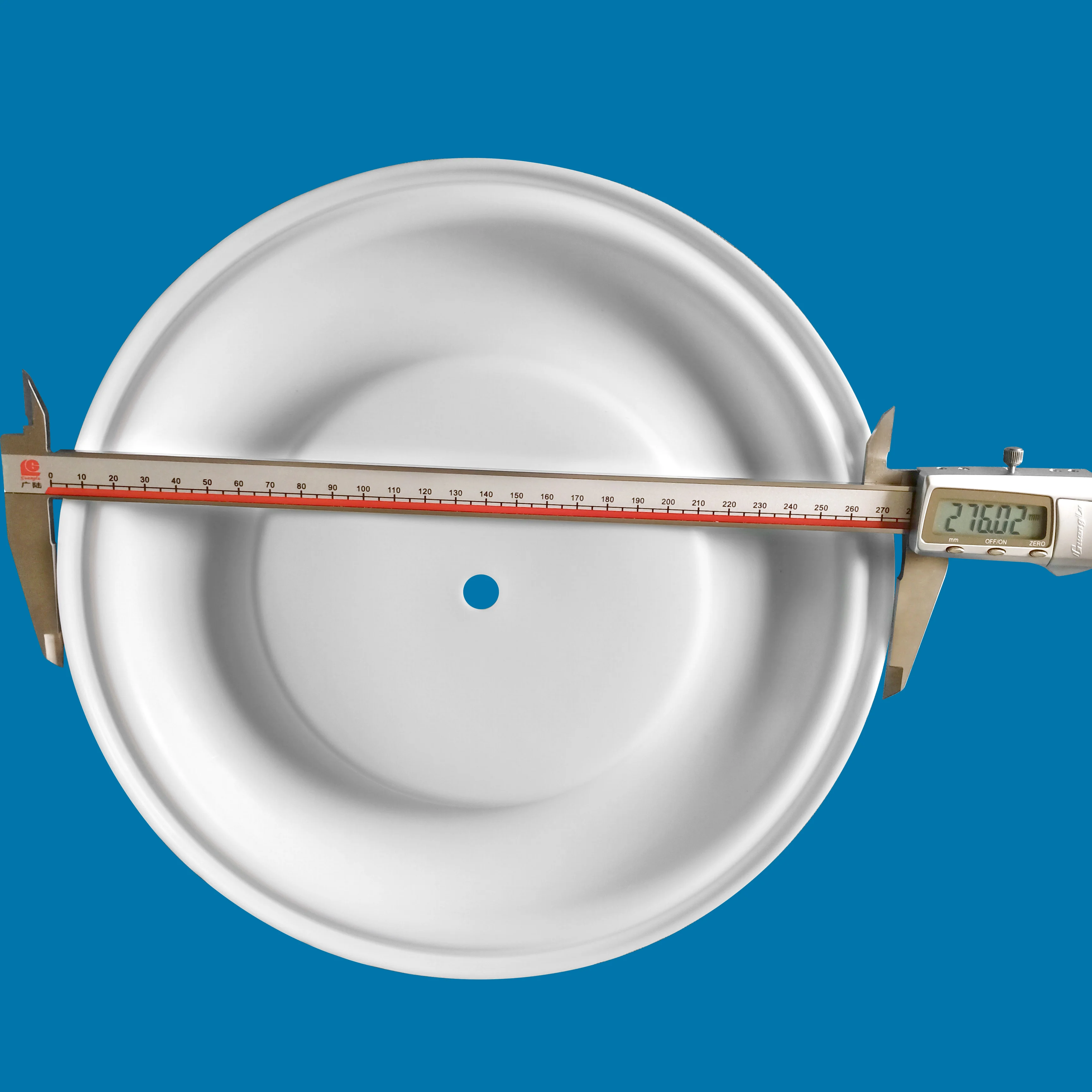 CF189294 Ptfe Diaphragm details