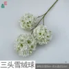 Three-headed snowball WY White