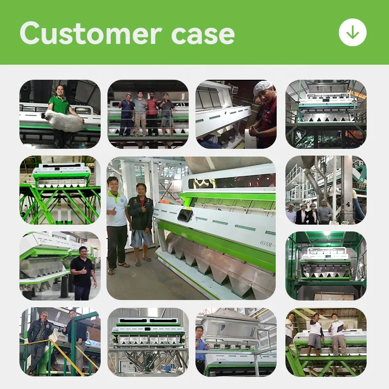 WESORT Manufacturer Automatic LDPE Plastic Recycling Machine ABS PP PE PVC Color Sorter for PET EPS BOPP Plastic Types